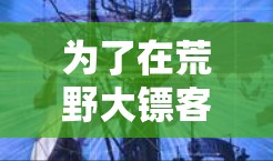 为了在荒野大镖客中使用免费的加速器,以下是一个清晰的指南 为了在荒野大镖客中使用免费的加速器,以下是一个清晰的指南