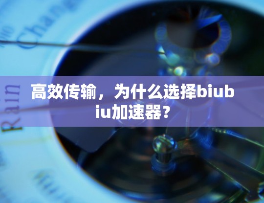 高效传输,为什么选择biubiu加速器?