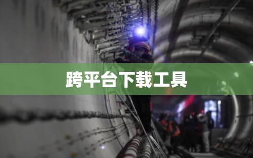 跨平台下载工具 跨平台下载工具