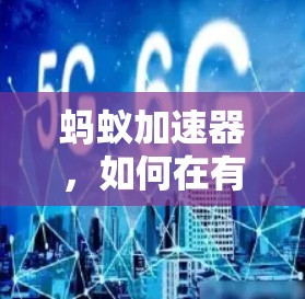 蚂蚁加速器,如何在有限预算中提升下载速度?