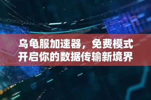 乌龟服加速器，免费模式开启你的数据传输新境界