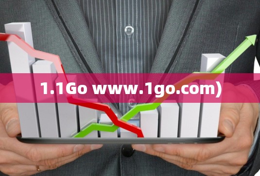 1.1Go www.1go.com)