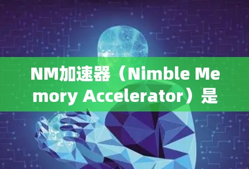 NM加速器(Nimble Memory Accelerator)是一项提供给计算机用户以提升内存加载速度的工具。它通过优化内存访问路径和自动识别内存加载路径来提升性能。以下是关于NM加速器的详细分析