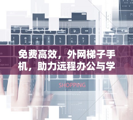 免费高效,外网梯子手机,助力远程办公与学习的优质解决方案